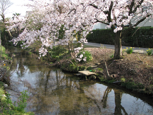 川島町の小物