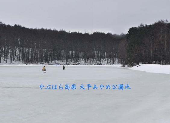 あやめ池公園