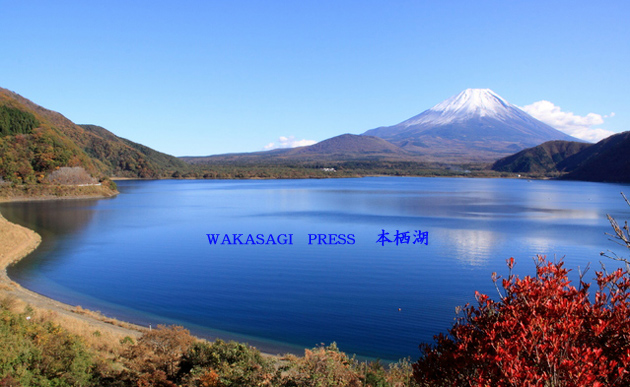 本栖湖のワカサギ 釣り情報