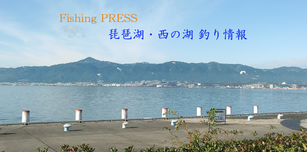 琵琶湖 釣りポイントおかっぱり。