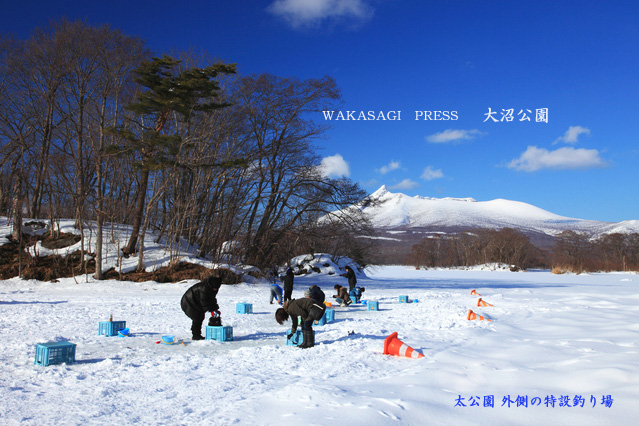 北海道press 大沼公園の氷上ワカサギ釣り完全版 じゅんさい沼 太公園