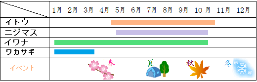 かなやま湖イトウとトラウト