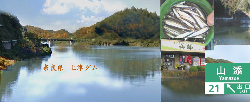 奈良県 上津ダムのワカサギ釣り