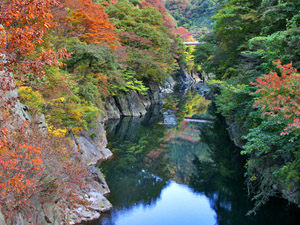 渡良瀬渓谷の紅葉時期