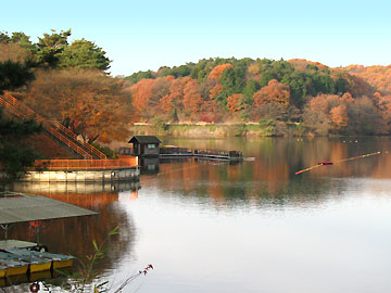 宮沢湖桟橋 電動リール竿(日帰り)