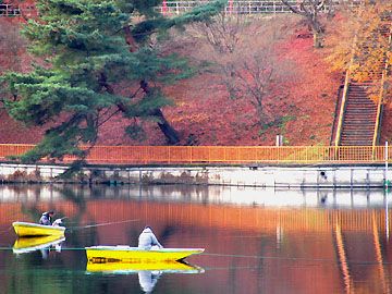 紅葉の時期の釣り