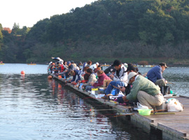 桟橋釣り