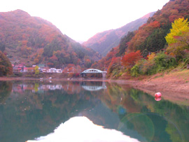 奥多摩湖 ワカサギ釣り