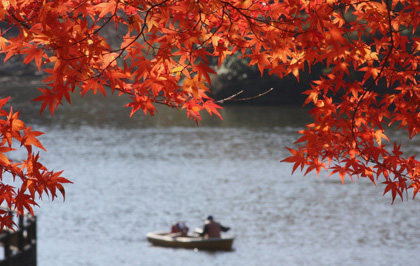 吉野町の紅葉